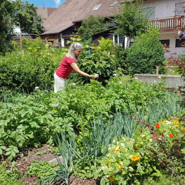 resort804-min resort804-min