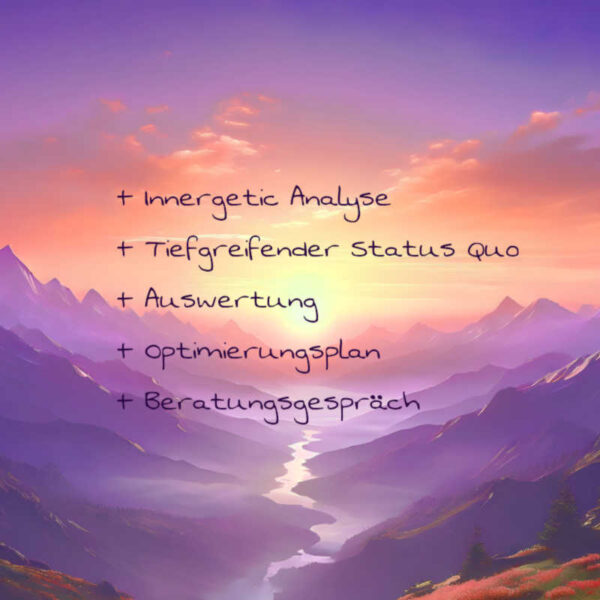 innergetic-analyse800 innergetic-analyse800